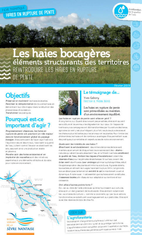 Les haies bocagères éléments structurants des territoires - Réintroduire les haies en rupture de pente - application/pdf