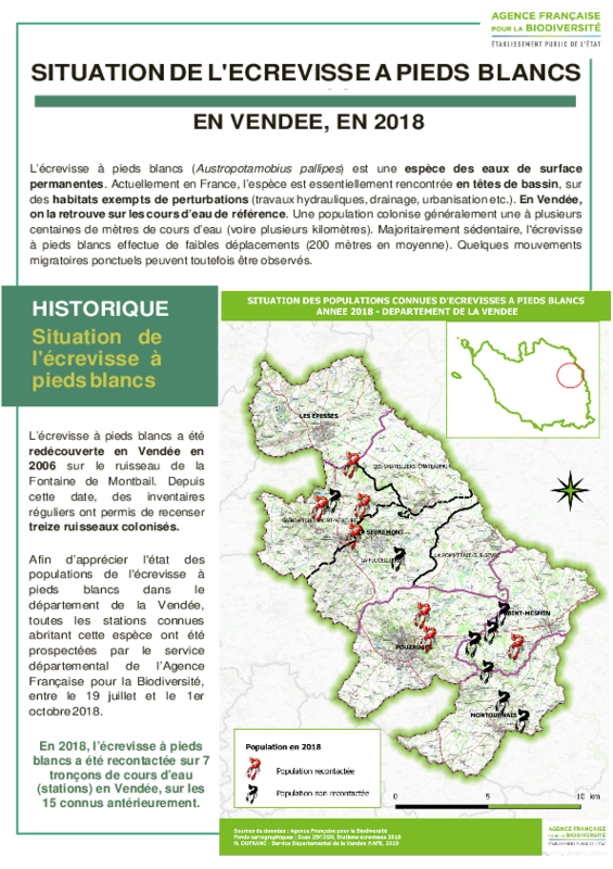 Situation de l'écrevisse à pieds blancs en Vendée en 2018 - application/pdf