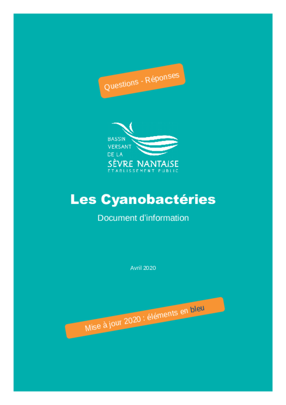 Document d'information questions-réponses : "Les cyanobactéries" (version avril 2020) - application/pdf