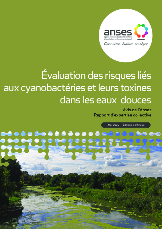 Évaluation des risques liés aux cyanobactéries et leurs toxines dans les eaux douces - application/pdf