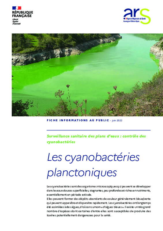 Fiche informations au public - "Surveillance sanitaire des plans d'eaux : contrôle des cyanobactéries - Les cyanobactéries planctoniques" - application/pdf