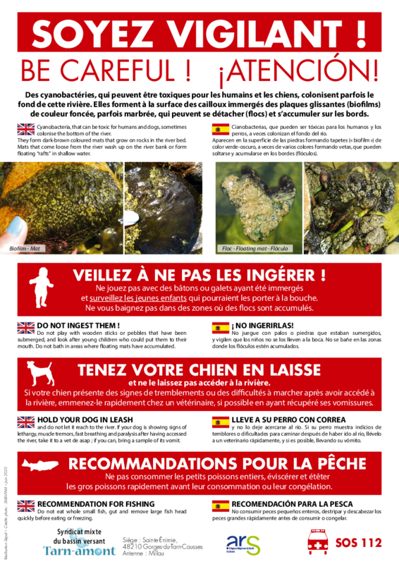 Affiche sur les cyanobactéries : "Soyez vigilant !" - application/pdf